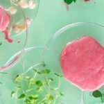 Plant-Based, Lab-Grown, or Traditional—Where Is Food Culture Headed?