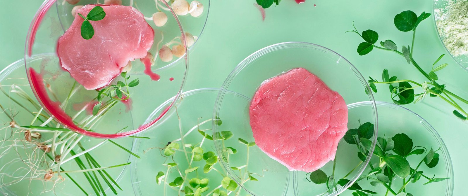 Plant-Based, Lab-Grown, or Traditional—Where Is Food Culture Headed?